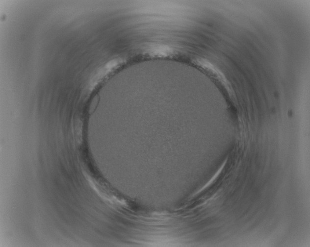 X0000065260496200602242118