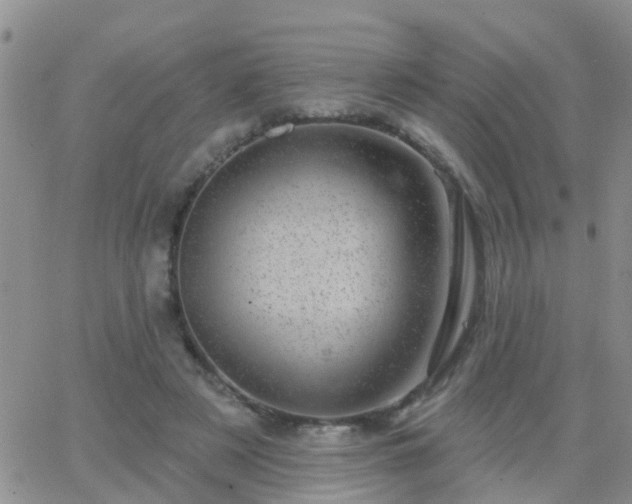 X0000065260497200602242118