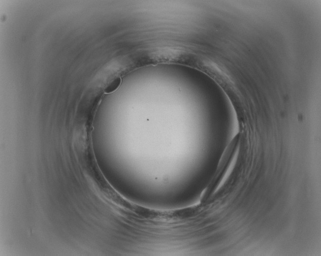 X0000065260498200602242118