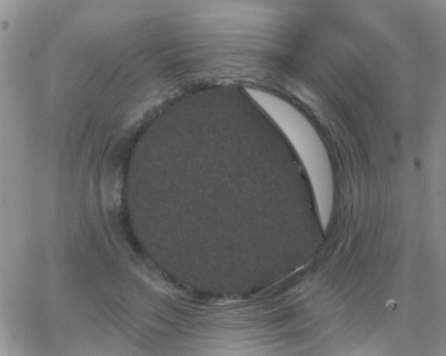 X0000065260499200602242118