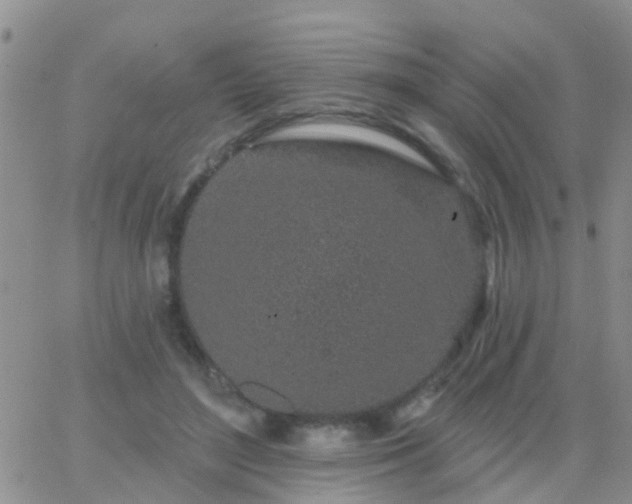 X0000065260500200602242118