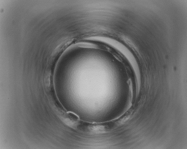 X0000065260501200602242118