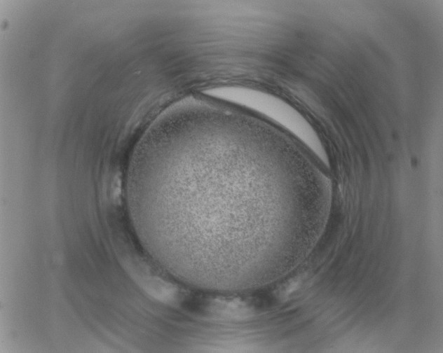 X0000065260502200602242118