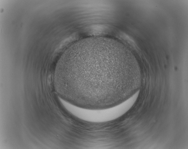 X0000065260503200602242118