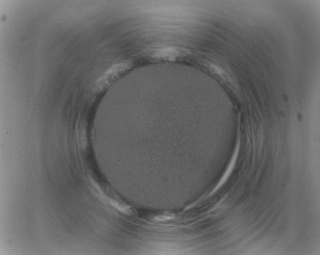 X0000065260504200602242118