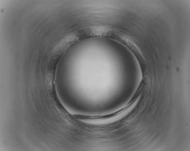 X0000065260505200602242118