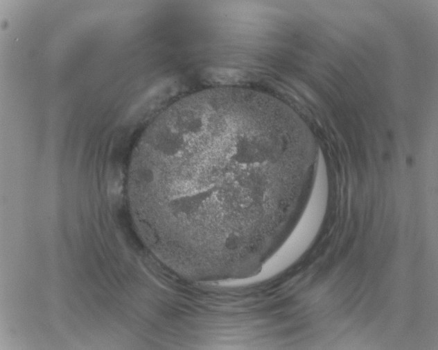 X0000065260507200602242118