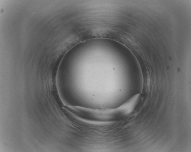 X0000065260508200602242118