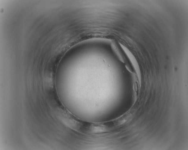 X0000065260510200602242118