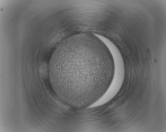 X0000065260511200602242118