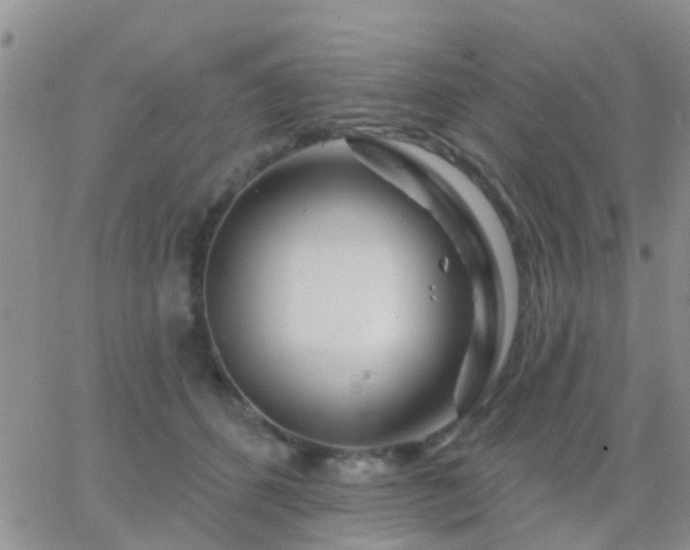 X0000065260512200602242118