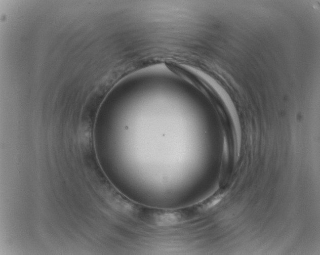 X0000065260513200602242118