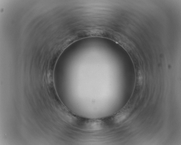 X0000065260514200602242118