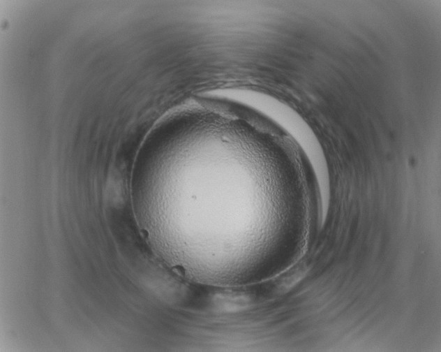 X0000065260515200602242118