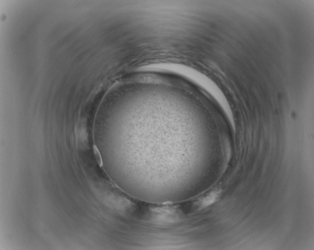 X0000065260516200602242118