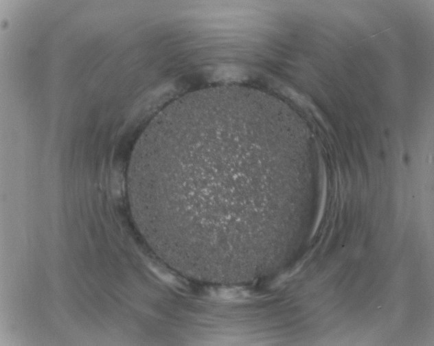 X0000065260517200602242118