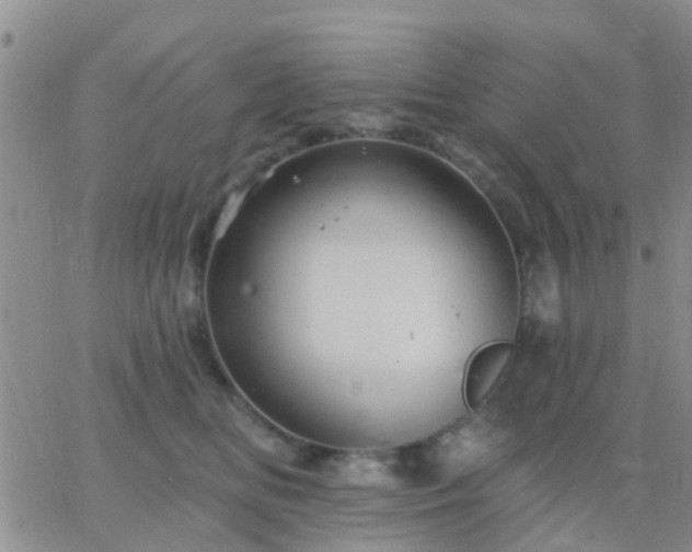 X0000065260518200602242118