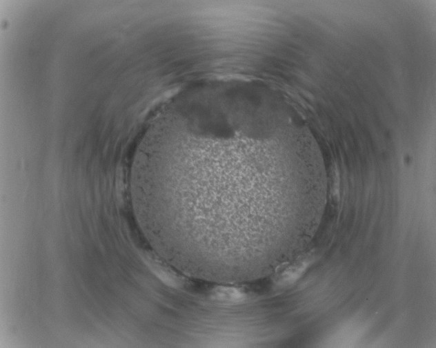 X0000065260519200602242118