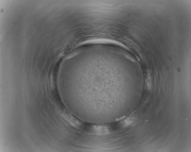 X0000065260520200602242118