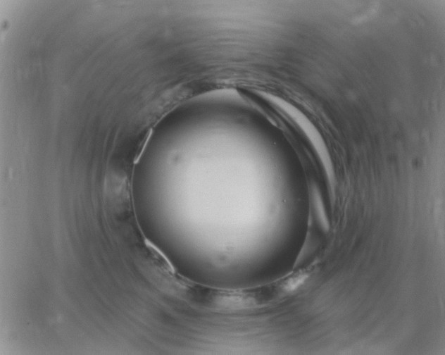 X0000065260521200602242118