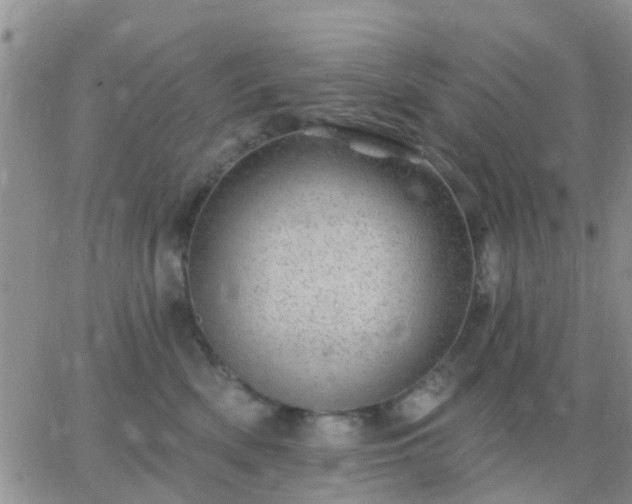 X0000065260522200602242118