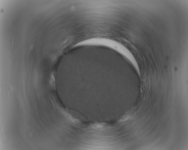 X0000065260523200602242118