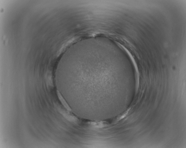 X0000065260524200602242118