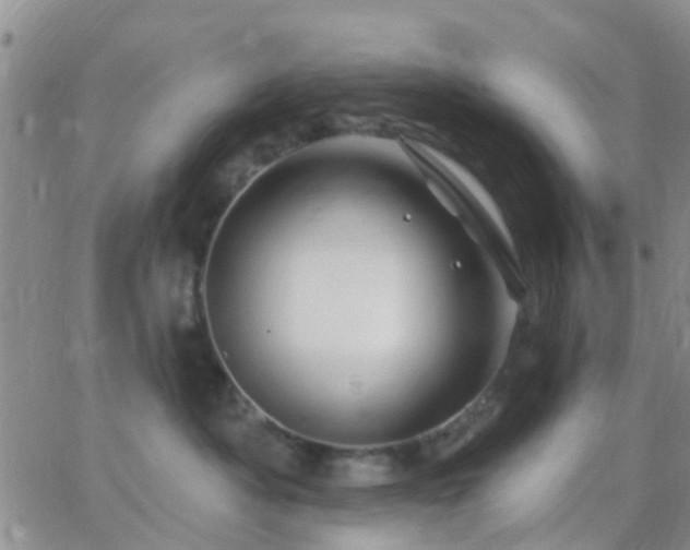 X0000065260525200602242118