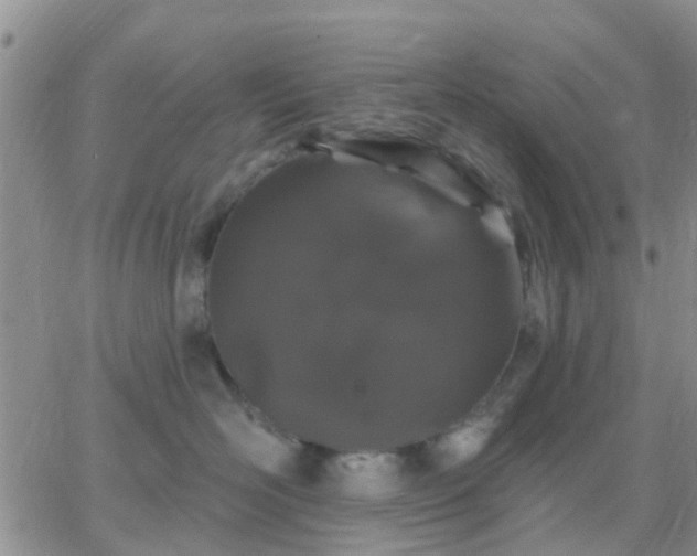 X0000065260526200602242118