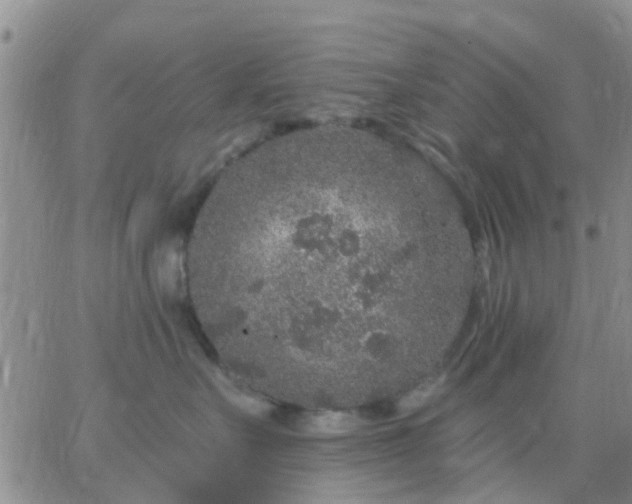 X0000065260527200602242118