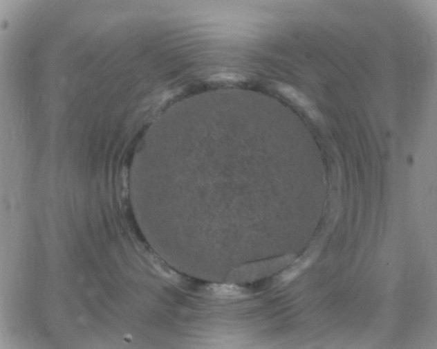 X0000065260528200602242118