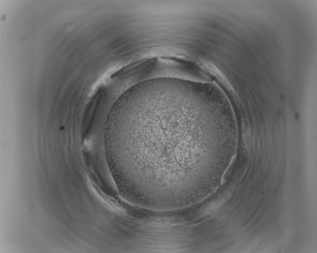 X0000065260530200602242117