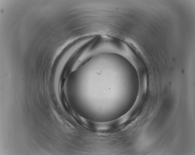 X0000065260532200602242117