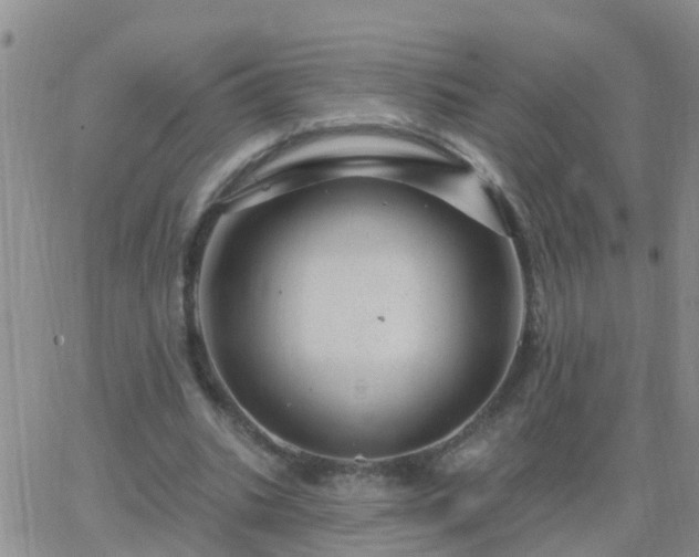 X0000065260535200602242117