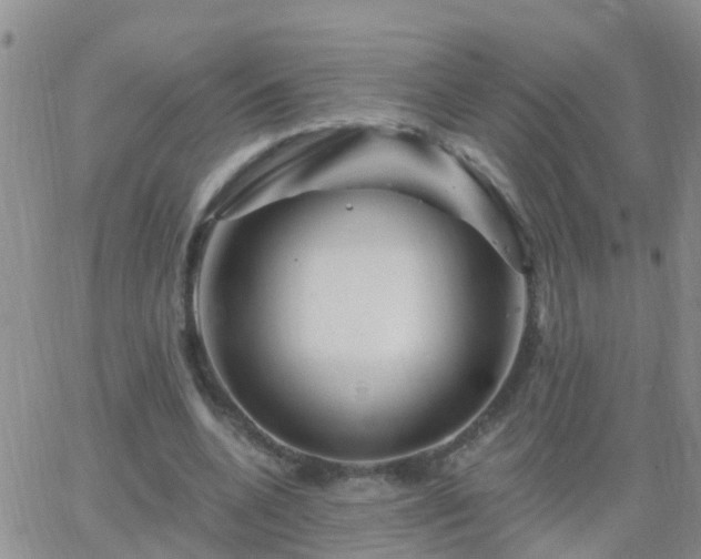 X0000065260536200602242117