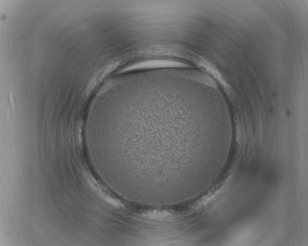 X0000065260537200602242117