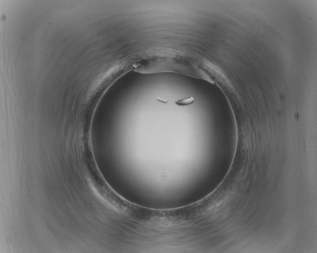 X0000065260538200602242117