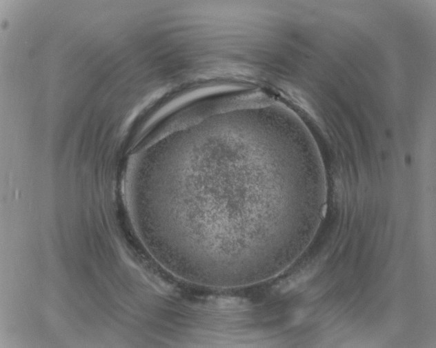 X0000065260539200602242117