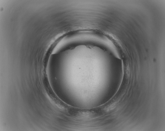 X0000065260540200602242117