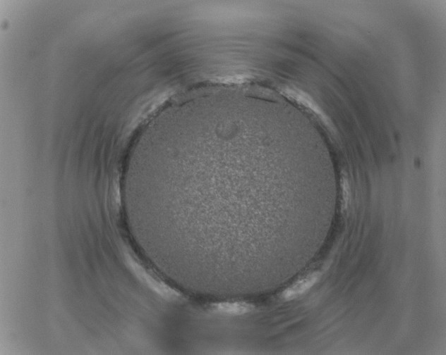 X0000065260541200602242117