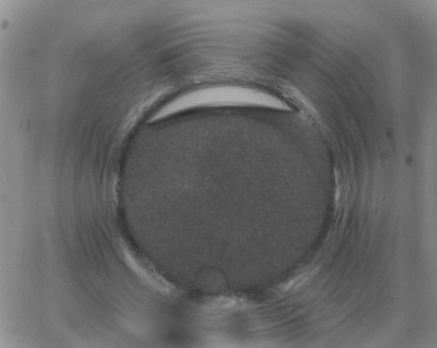 X0000065260542200602242117