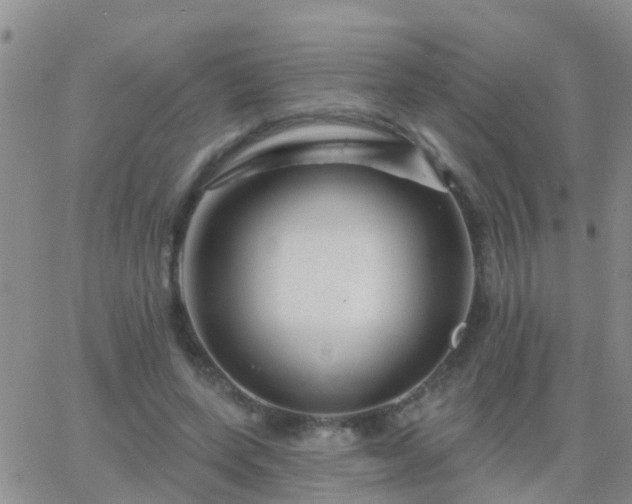 X0000065260543200602242117