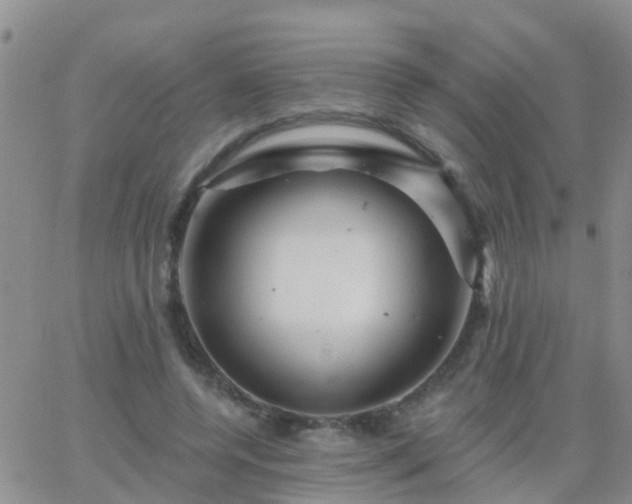 X0000065260544200602242117