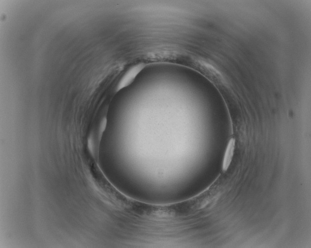 X0000065260546200602242117