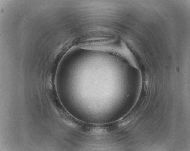 X0000065260547200602242117