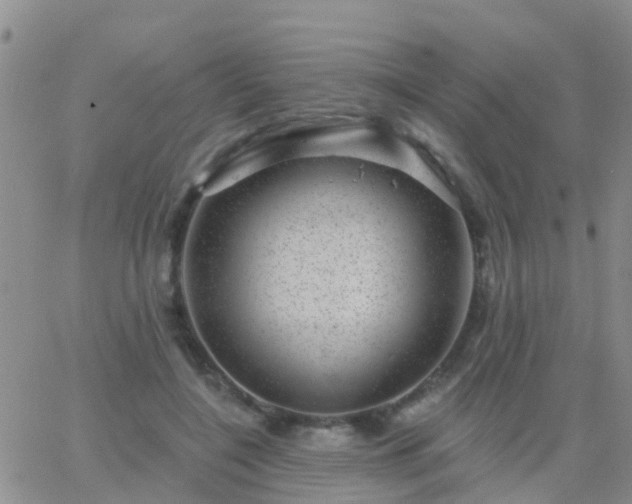 X0000065260548200602242117