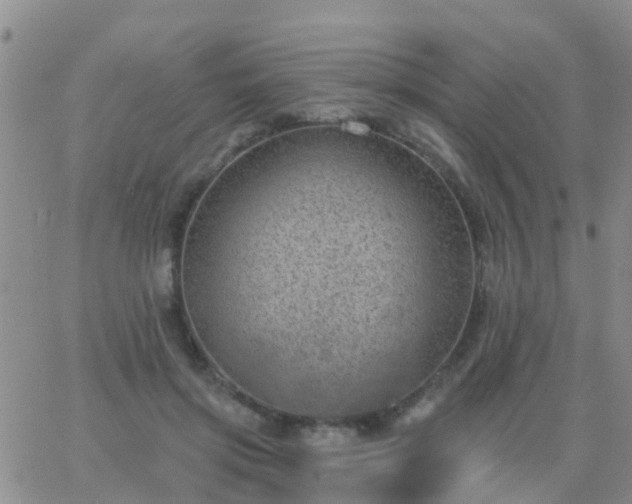 X0000065260549200602242117