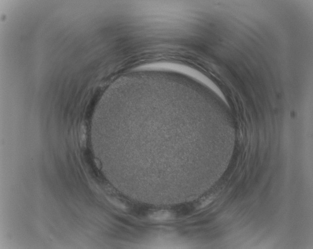 X0000065260551200602242117