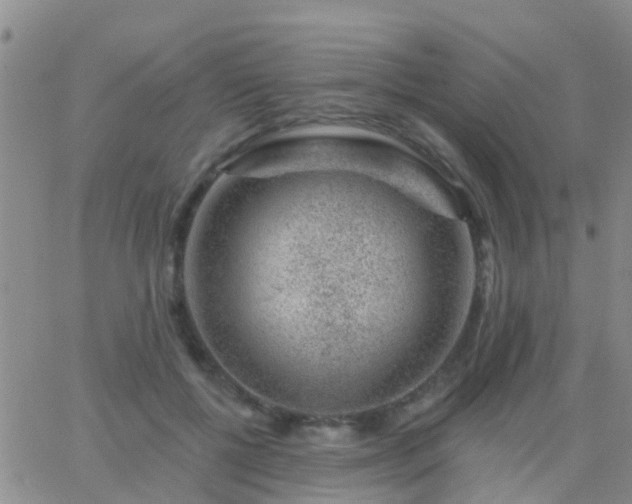 X0000065260552200602242117