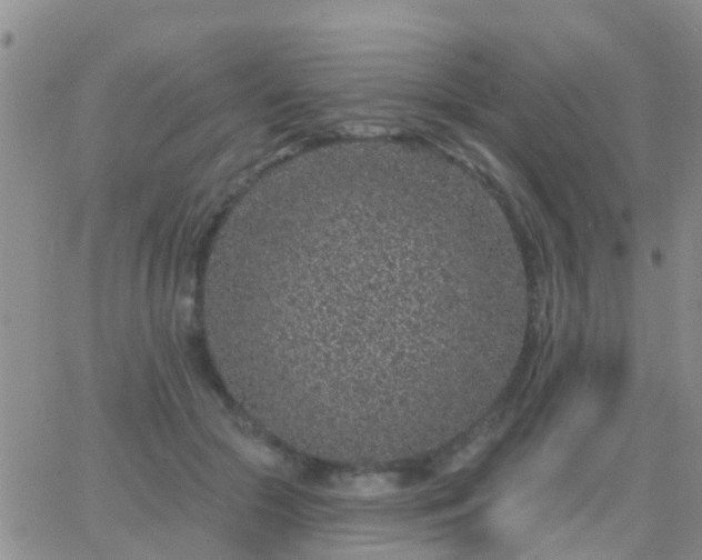 X0000065260553200602242117